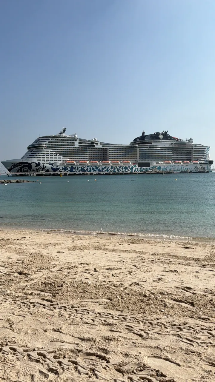 Die MSC Euribia vor Sir Bani Yas