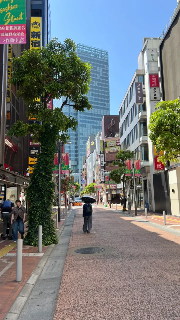 Gassen in Shinjuku, Tokio