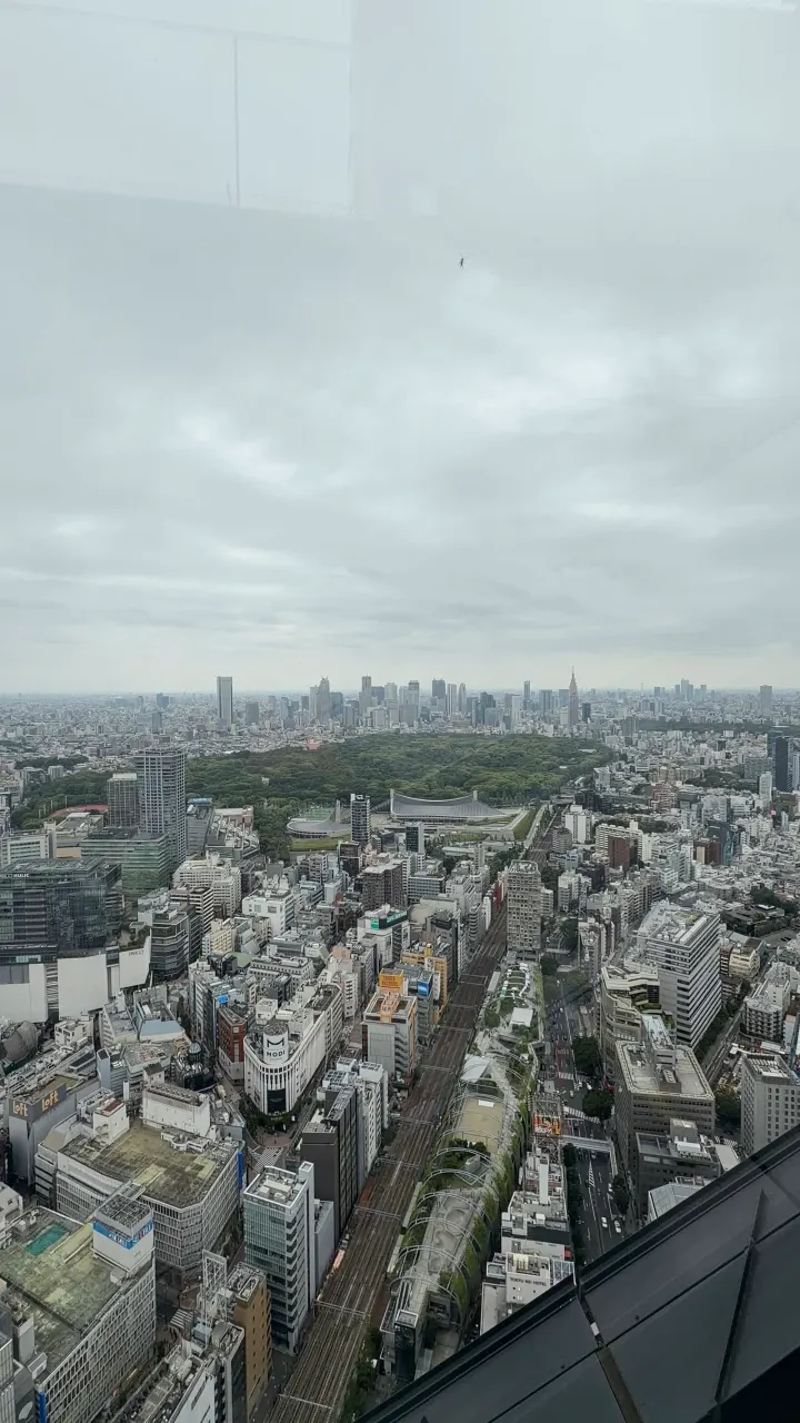 Blick über Tokio von oben