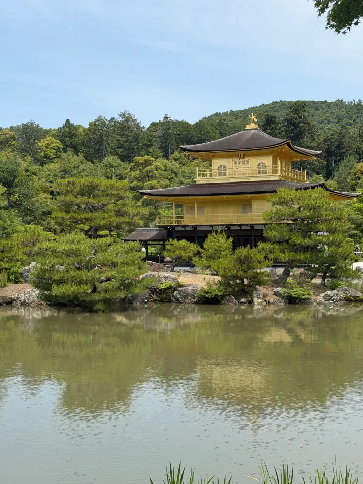 Goldener Pavillon am Teich, Kyoto
