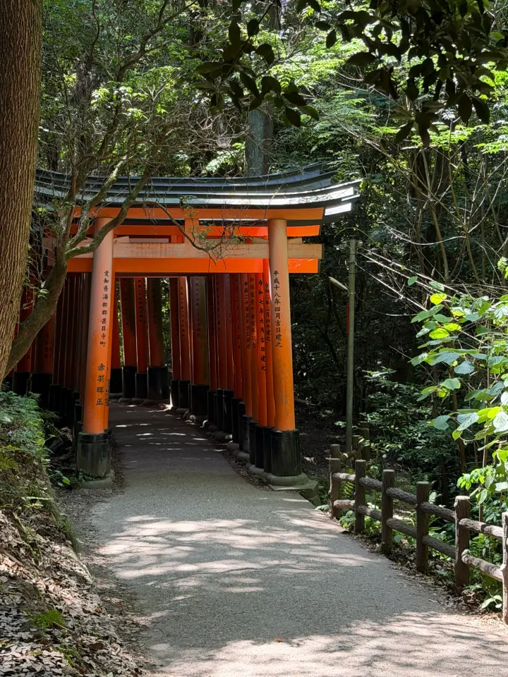 Torii-Tore im Wald, Kyoto