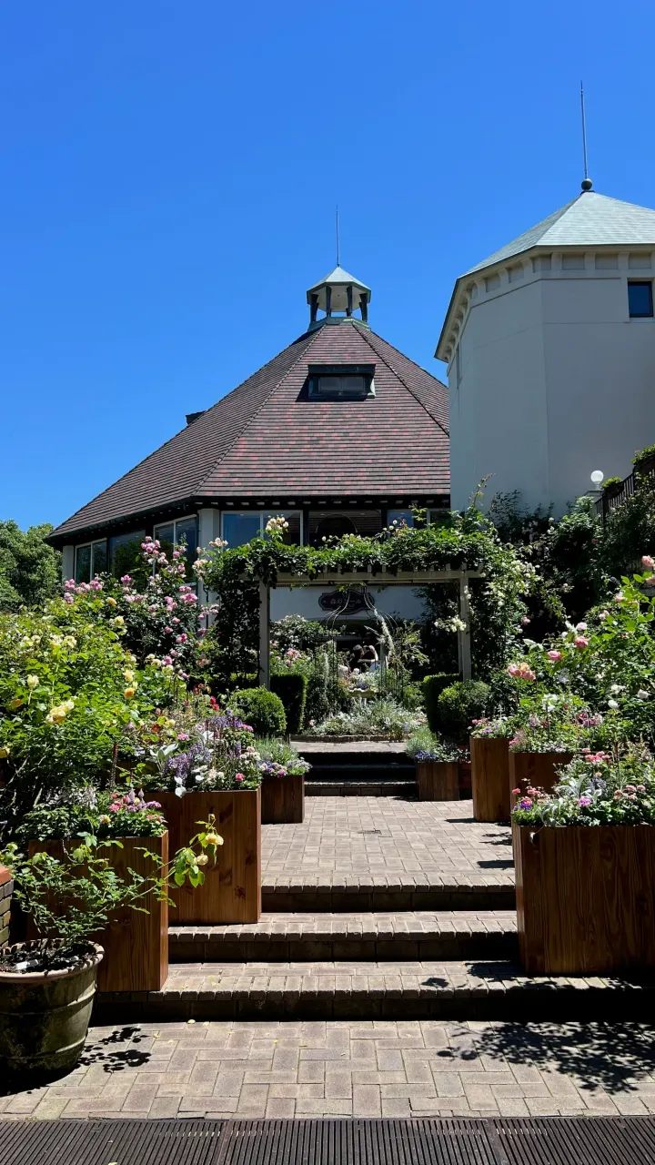 Rosengarten im Nunobiki Herb Garden, Kobe