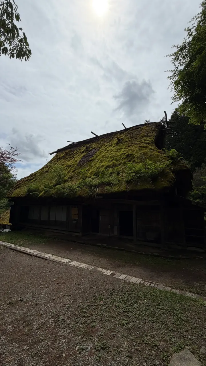Moosbewachsenes Strohdachhaus in Takayama