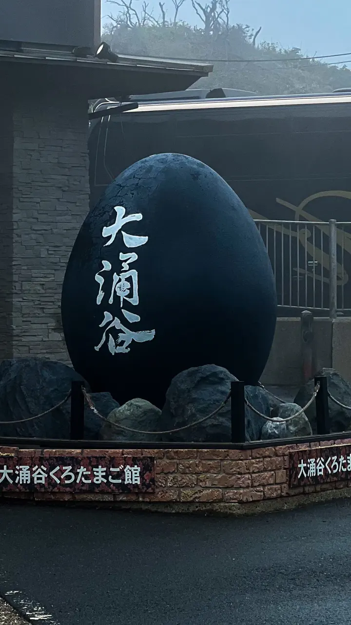 Schwarzes Riesen-Ei in Owakudani, Hakone