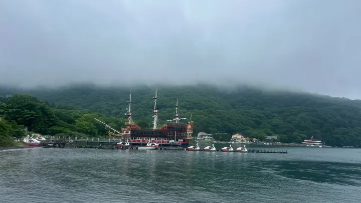 Schwanenboote am nebligen Ashi-See, Hakone