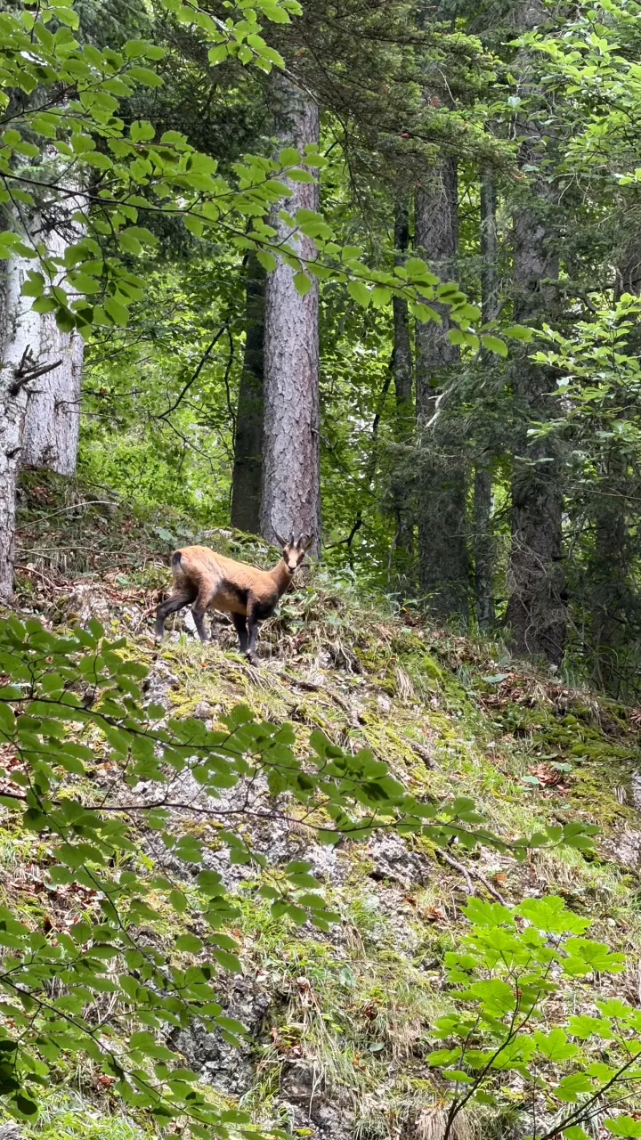 Foto von der Tour Fritz-Pflaum-Hütte