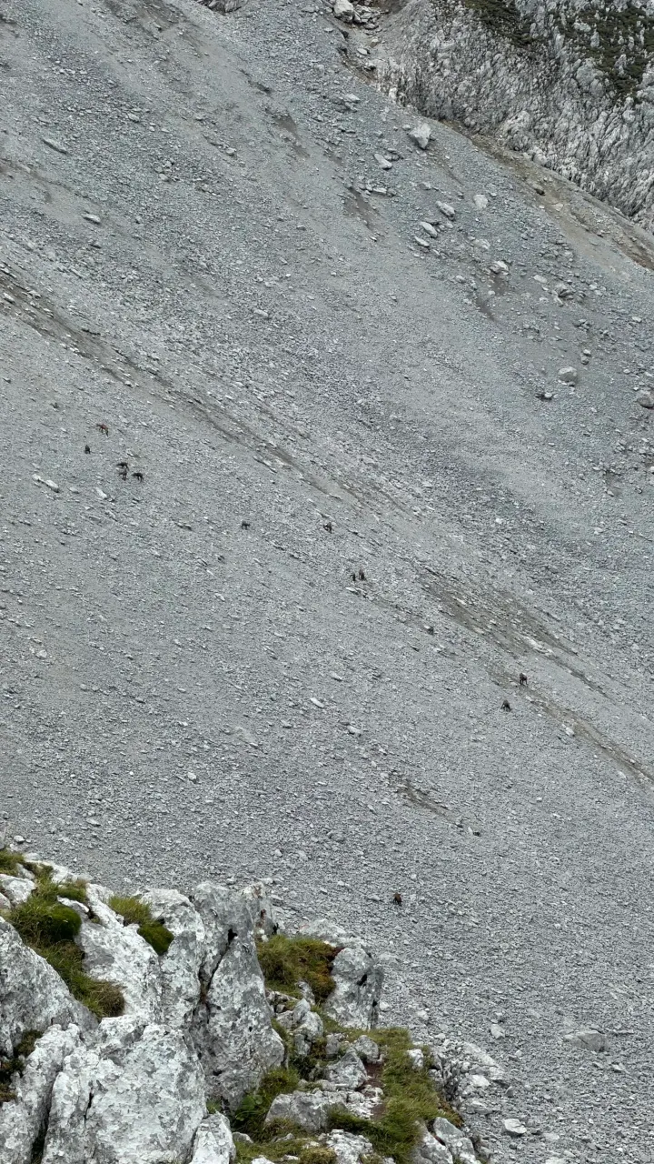 Foto von der Tour Fritz-Pflaum-Hütte
