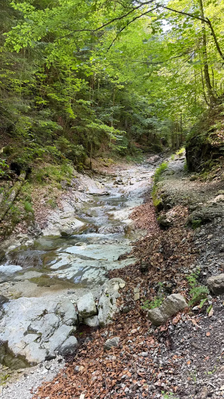 Foto von der Tour Grießbachklamm & Huberkreuz