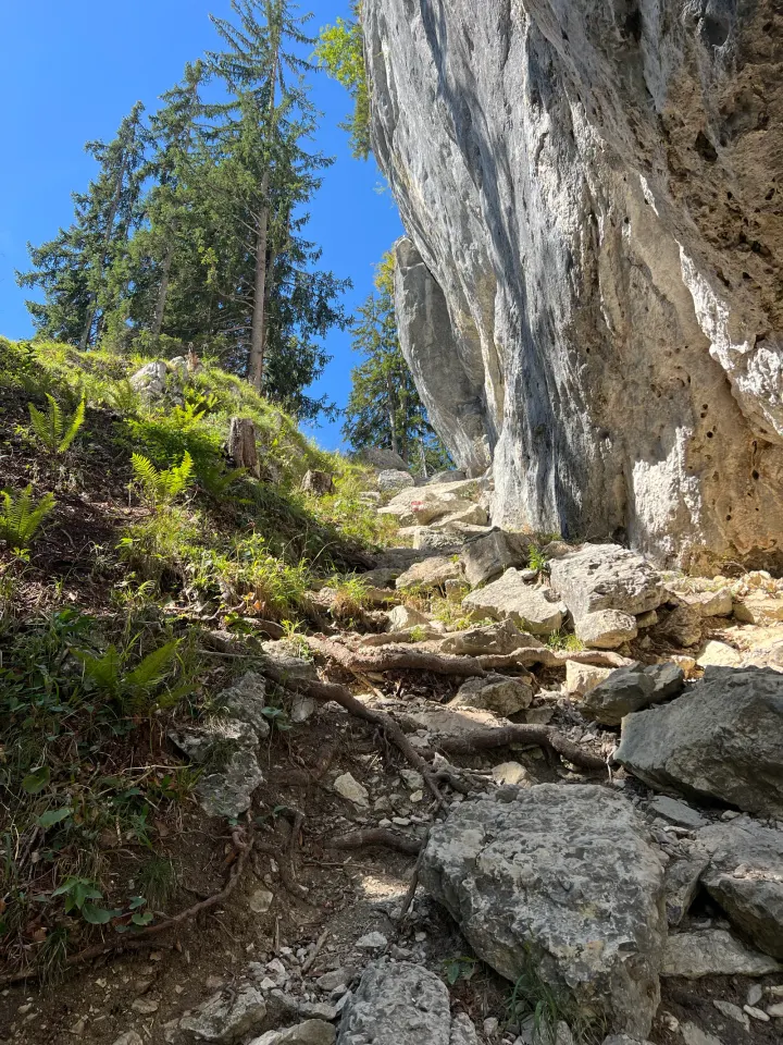 Foto von der Tour Obere Regalm