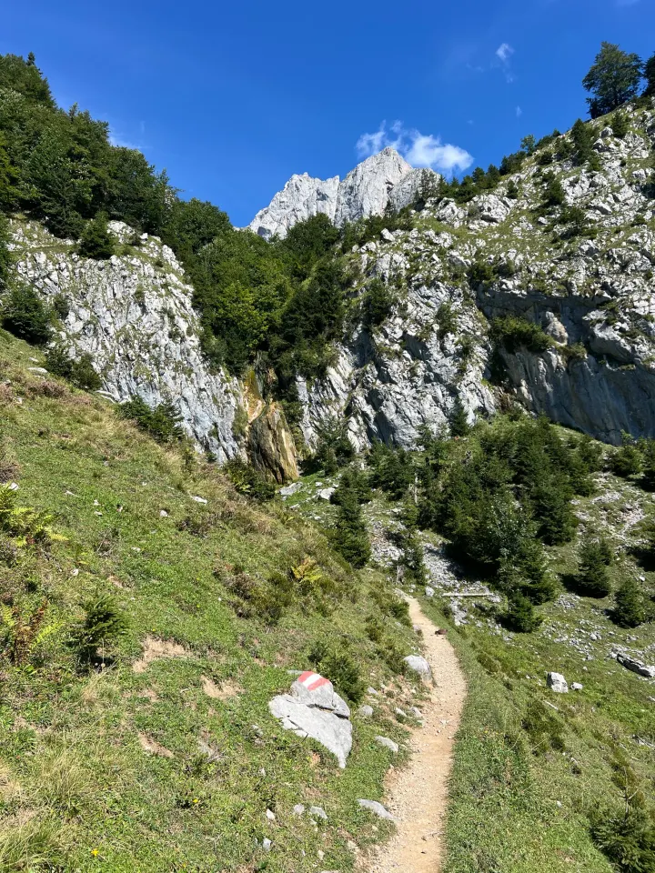 Foto von der Tour Obere Regalm