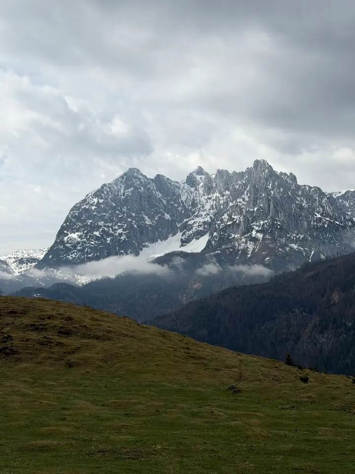 Blick über das Kohlental zum Wilden Kaiser