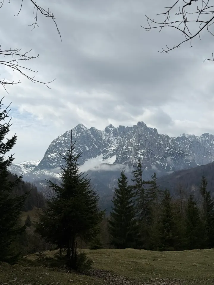 Kaisergebirge hinter dunklem Nadelwald