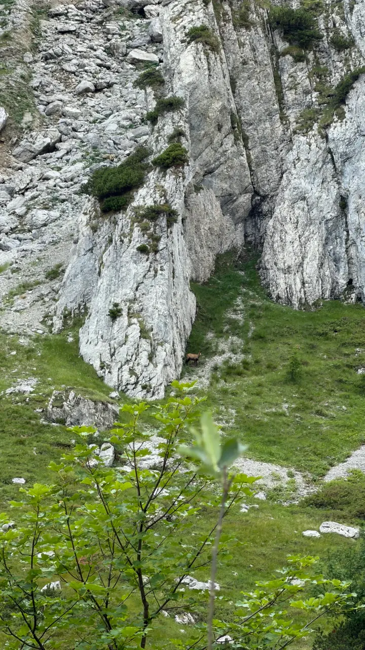 Foto von der Tour Stripsenjoch